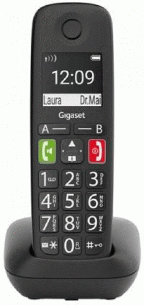 Siemens Gigaset E290 Black